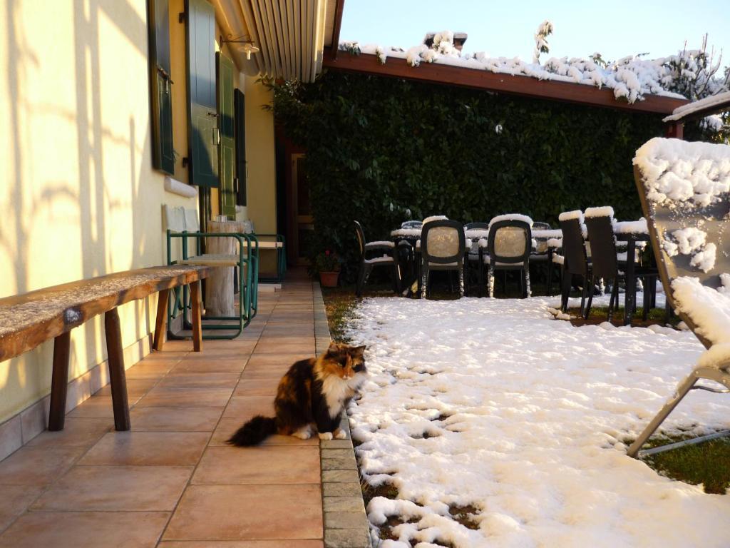 Sant'Andrea Agriturismo Con Cantina Martignago Vignaioli Asolo Prosecco Docg Wines Maser Екстериор снимка
